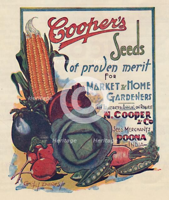 Advertisement for Cooper's seeds, 1936. Creator: Cecil Dawes.