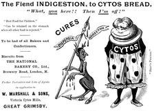 Advertisement for Cytos Bread, 1895. Creator: Unknown