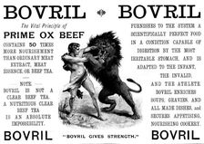 Advertisement for Bovril, 1895. Creator: Unknown