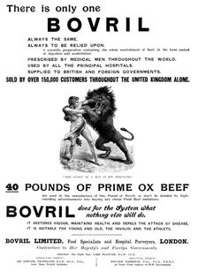 Advertisement for Bovril, 1898. Creator: Unknown