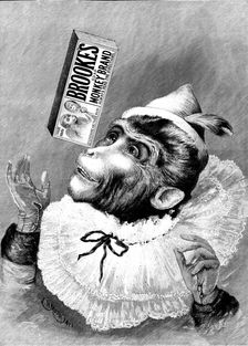 Advertisement for Brooke's Monkey Brand Soap, 1895. Creator: Unknown