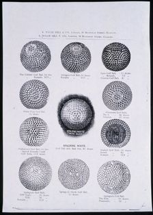 Advertisement for golf balls, Scottish, c1900s. Creator: Unknown