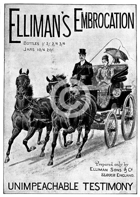 Advertisement for Elliman's Embrocation, 1898. Creator: Unknown.