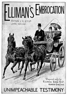 Advertisement for Elliman's Embrocation, 1898. Creator: Unknown