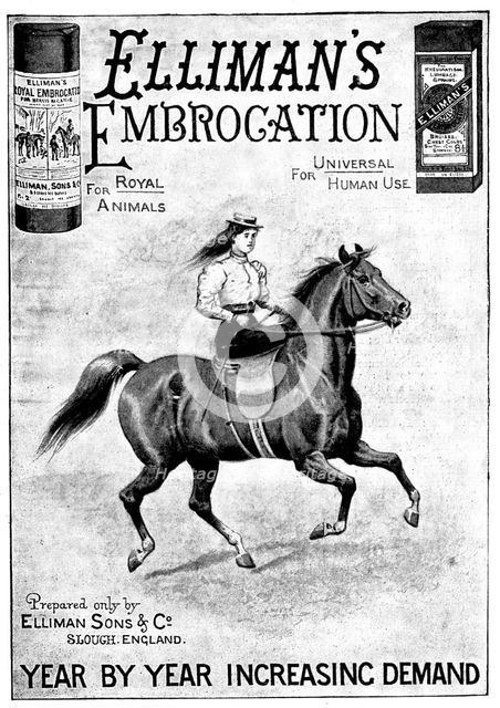 Advertisement for Elliman's Embrocation, 1898. Creator: Unknown.