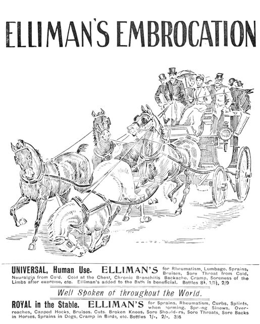 Advertisement for Elliman's Embrocation, 1909.  Creator: Unknown.