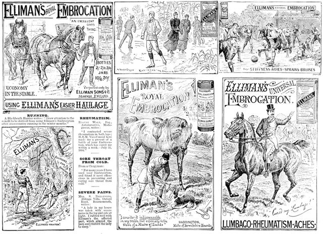 Advertisement for Elliman's Royal and Universal Embrocations, 1895. Creator: Unknown.