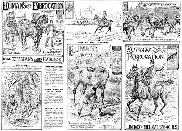 Advertisement for Elliman's Royal and Universal Embrocations, 1895. Creator: Unknown.