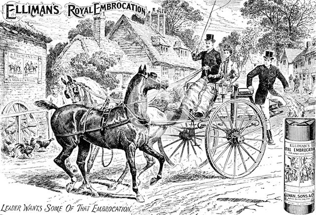 Advertisement for Elliman's Royal Embrocation, 1895. Creator: Unknown.