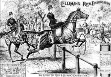 Advertisement for Elliman's Royal Embrocation, 1895. Creator: Unknown