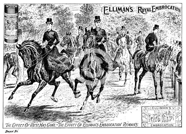 Advertisement for Elliman's Royal Embrocation, 1895. Creator: Joseph Swain.