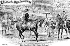 Advertisement for Elliman's Royal Embrocation, 1895. Creator: Joseph Swain