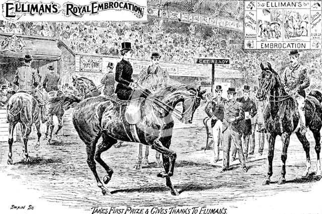 Advertisement for Elliman's Royal Embrocation, 1895. Creator: Joseph Swain.