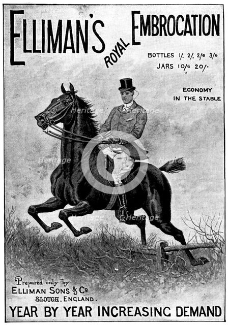 Advertisement for Elliman's Royal Embrocation, 1898. Creator: Unknown.