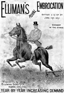 Advertisement for Elliman's Royal Embrocation, 1898. Creator: Unknown