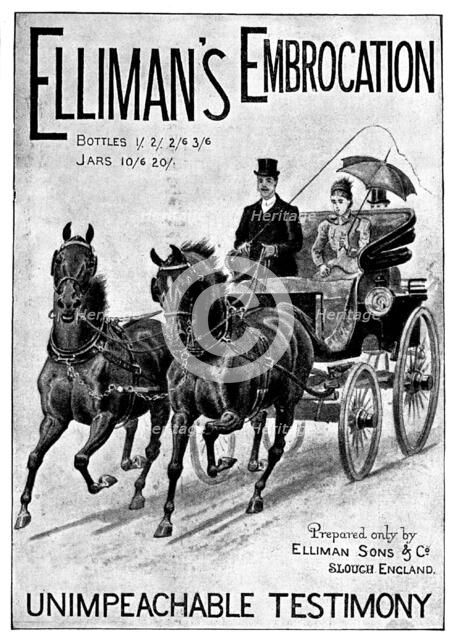 Advertisement for Elliman's Embrocation, 1898. Creator: Unknown.