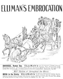Advertisement for Elliman's Embrocation, 1909. Creator: Unknown