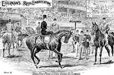 Advertisement for Elliman's Royal Embrocation, 1895. Creator: Joseph Swain