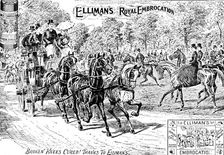 Advertisement for Elliman's Royal Embrocation, 1895. Creator: Joseph Swain