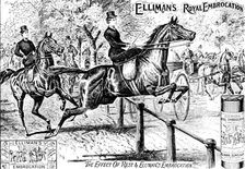 Advertisement for Elliman's Royal Embrocation, 1895. Creator: Unknown