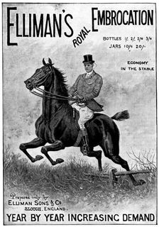 Advertisement for Elliman's Royal Embrocation, 1898. Creator: Unknown
