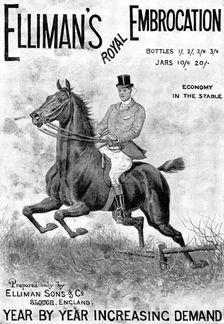 Advertisement for Elliman's Royal Embrocation, 1898. Creator: Unknown