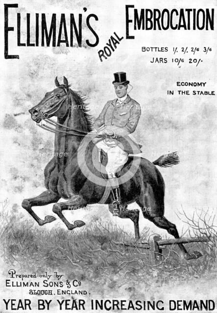 Advertisement for Elliman's Royal Embrocation, 1898. Creator: Unknown.