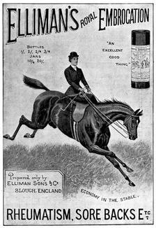 Advertisement for Elliman's Royal Embrocation, 1898. Creator: Unknown