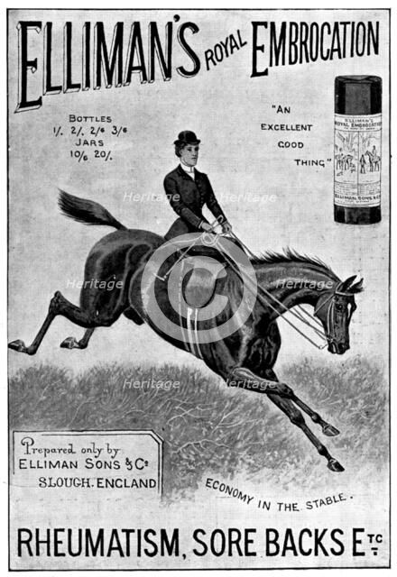 Advertisement for Elliman's Royal Embrocation, 1898. Creator: Unknown.