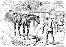 Advertisement for Elliman’s Universal Embrocation, 1890. Creator: William Stanfield Sturgess