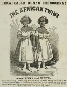 Advertisement for exhibition featuring "The African Twins" at Egyptian Hall, Piccadilly, 1855. Creator: Unknown