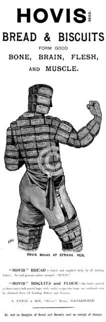 Advertisement for Hovis Bread & Biscuits, 1898. Creator: Unknown.