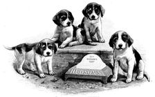 Advertisement for Hudson’s Soap, 1890. Creator: Unknown