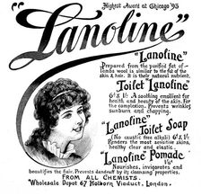 Advertisement for Lanoline, 1895. Creator: Unknown