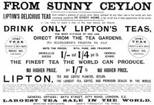 Advertisement for Lipton's Teas, 1895. Creator: Unknown
