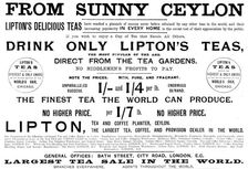 Advertisement for Lipton's Teas, 1895. Creator: Unknown