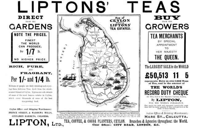 Advertisement for Liptons' Teas, 1898. Creator: Unknown.
