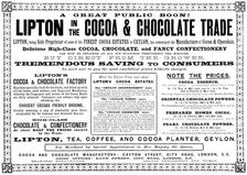 Advertisement for Lipton's Cocoa & Chocolate, 1895. Creator: Unknown