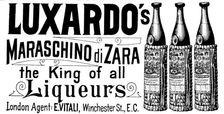 Advertisement for Luxardo's Maraschino di Zara, the King of all Liqueurs, 1895. Creator: Unknown