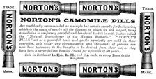 Advertisement for Norton’s Camomile Pills, 1890. Creator: Unknown