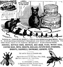 Advertisement for Rough on Rats, 1890. Creator: Unknown