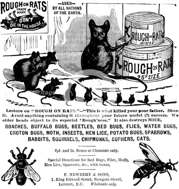 Advertisement for Rough on Rats, 1890. Creator: Unknown.