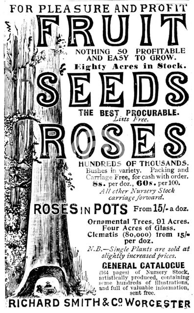 Advertisement for Richard Smith & Co's Fruit, Seeds and Roses, 1895. Creator: Unknown.