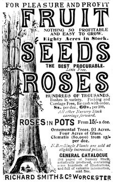 Advertisement for Richard Smith & Co's Fruit, Seeds and Roses, 1895. Creator: Unknown