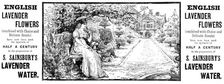 Advertisement for S. Sainsbury’s Lavender Water, 1890. Creator: Unknown