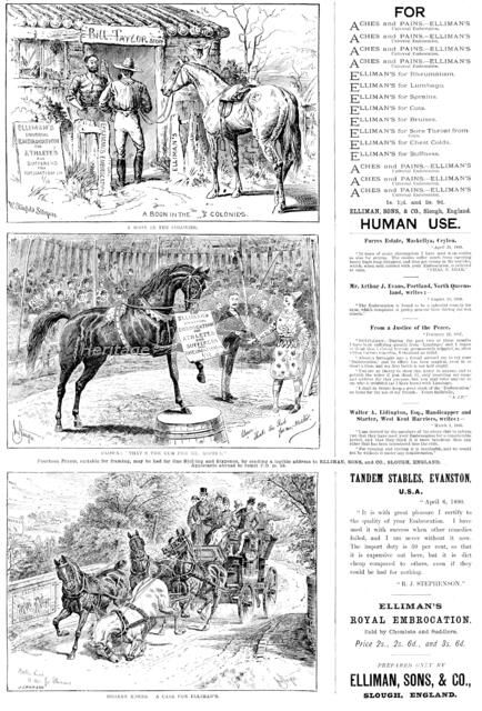 Advertisements for Elliman’s Universal Embrocation, 1890. Creator: William Stanfield Sturgess.