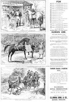 Advertisements for Elliman’s Universal Embrocation, 1890. Creator: William Stanfield Sturgess