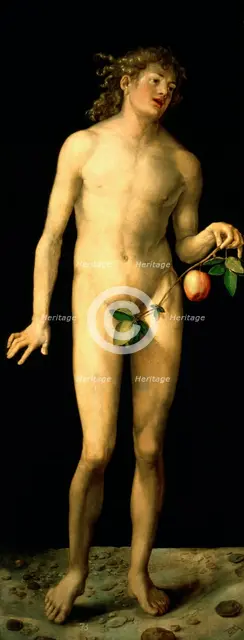 'Adam', 1507. Artist: Albrecht Dürer