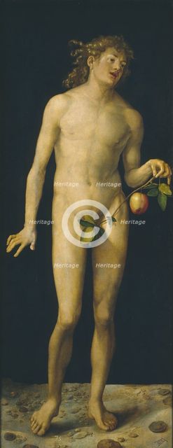 Adam, 1507. Artist: Dürer, Albrecht (1471-1528)