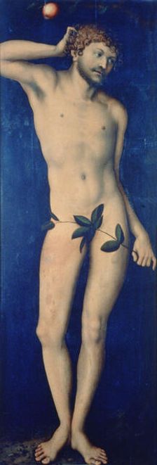 Adam 1528. Artist: Lucas Cranach the Elder